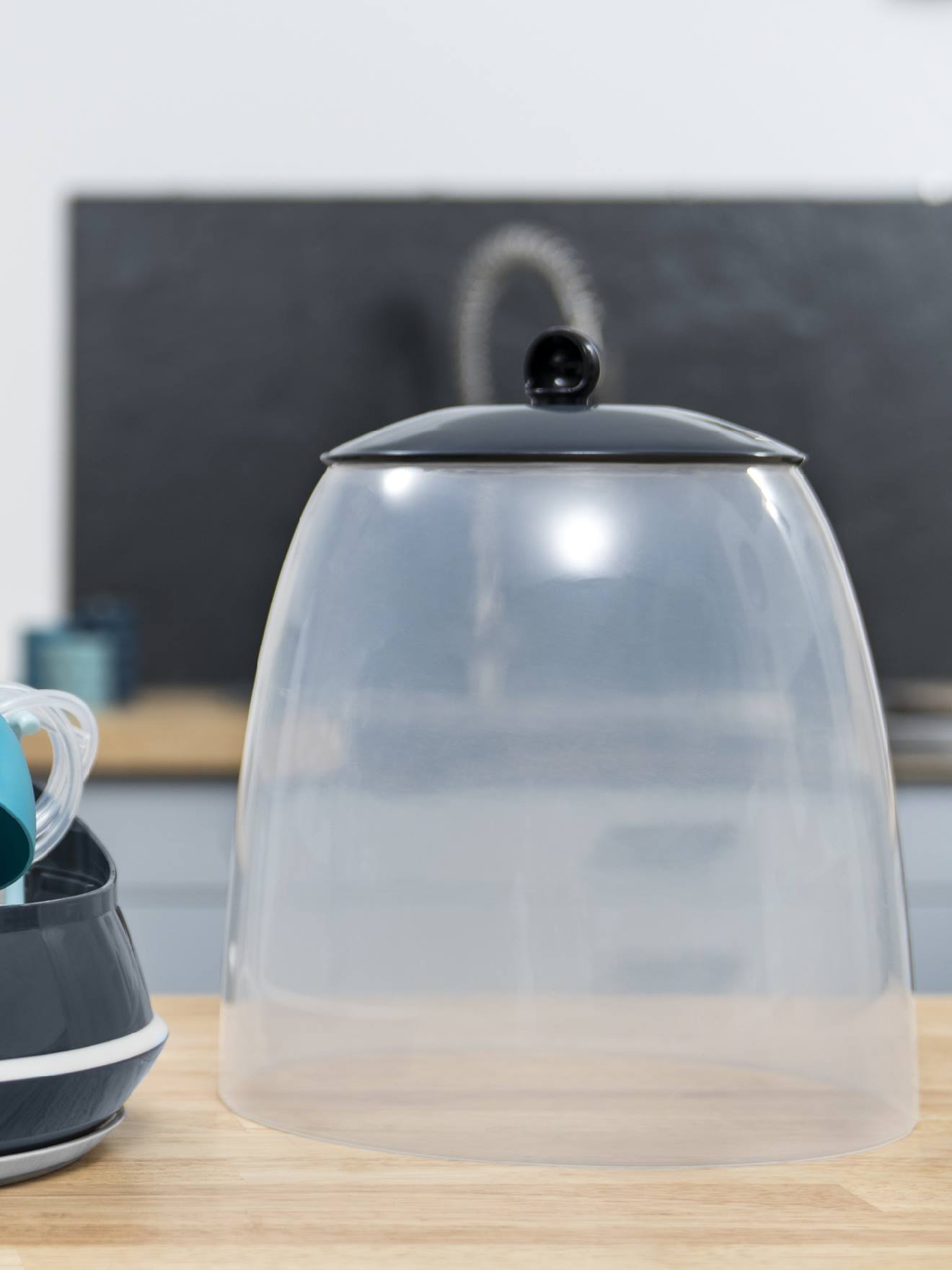 Babymoov Dampfsterilisator TURBO VAPEUR BABYMOOV - blau