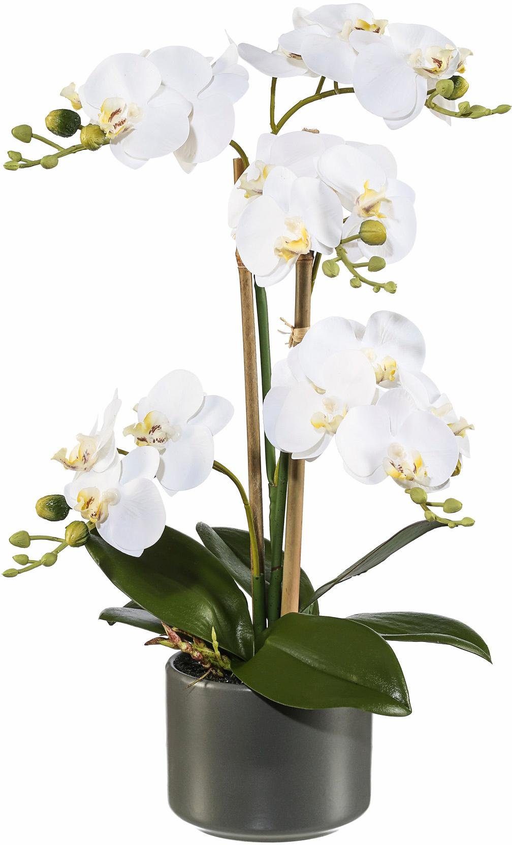 Kunstpflanze Orchidee, Creativ green, Höhe 38 cm