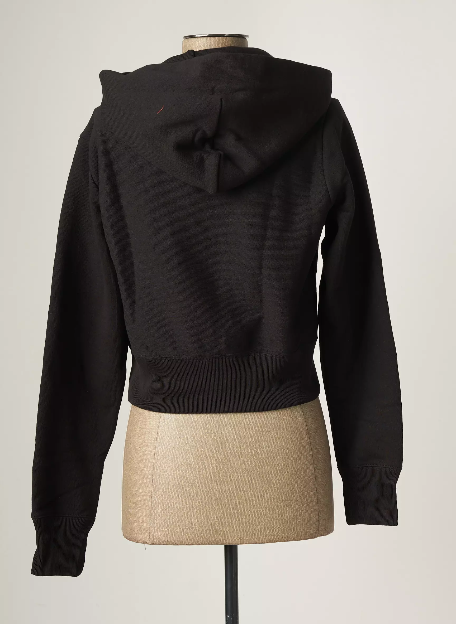 Champion Sweats Femme couleur multi