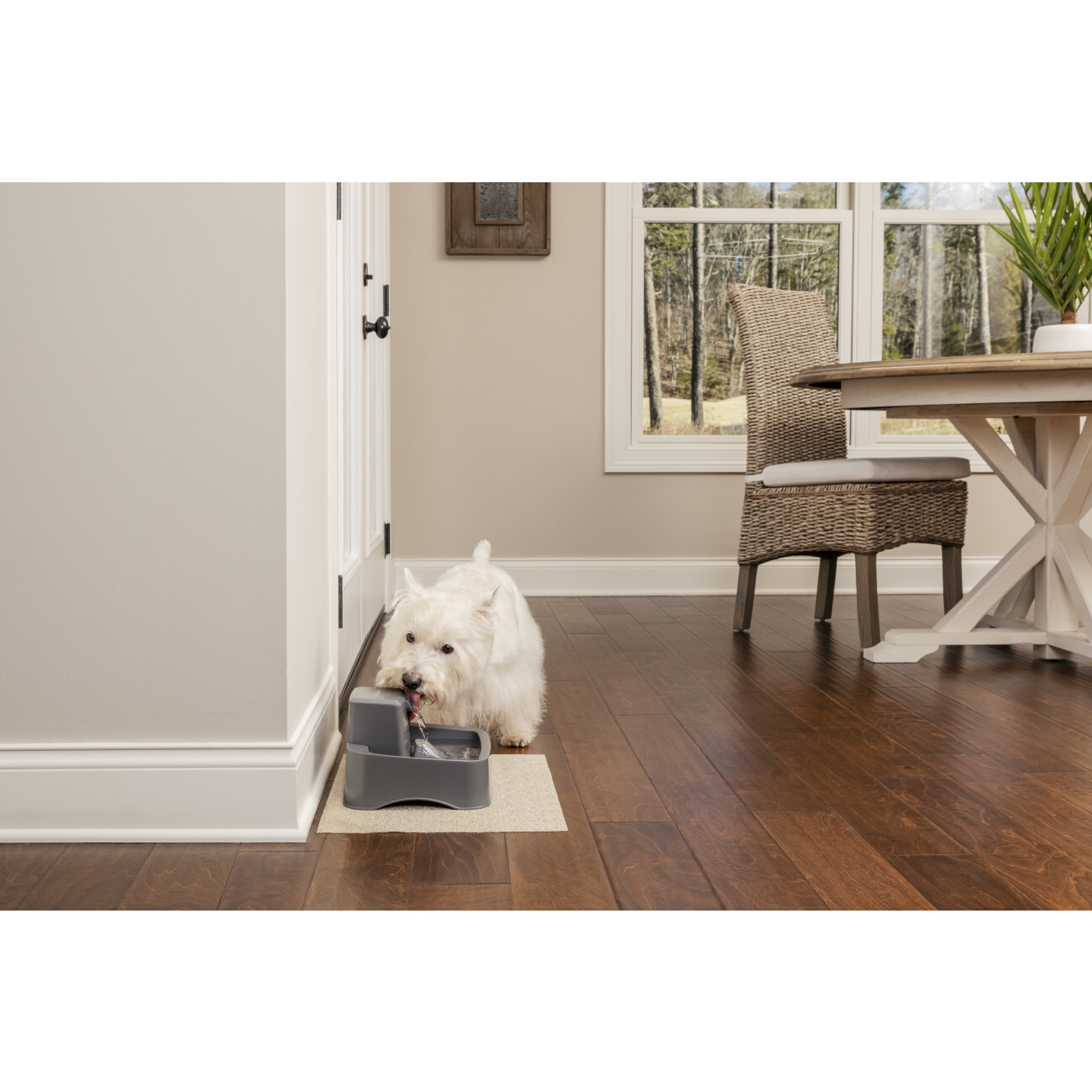 PetSafe Trinkbrunnen PetSafe Trinkbrunnen 1,8 l