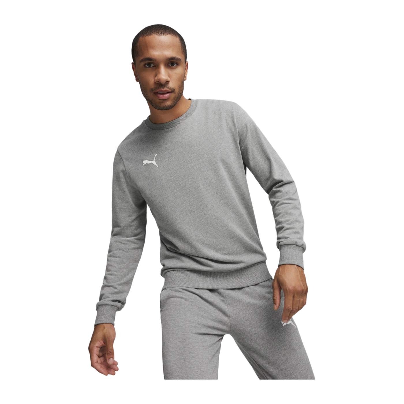PUMA teamGOAL Casuals Sweatshirt Grau F33