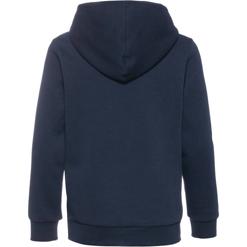 CHAMPION LEGACY AMERICAN CLASSICS Hoodie Jungen