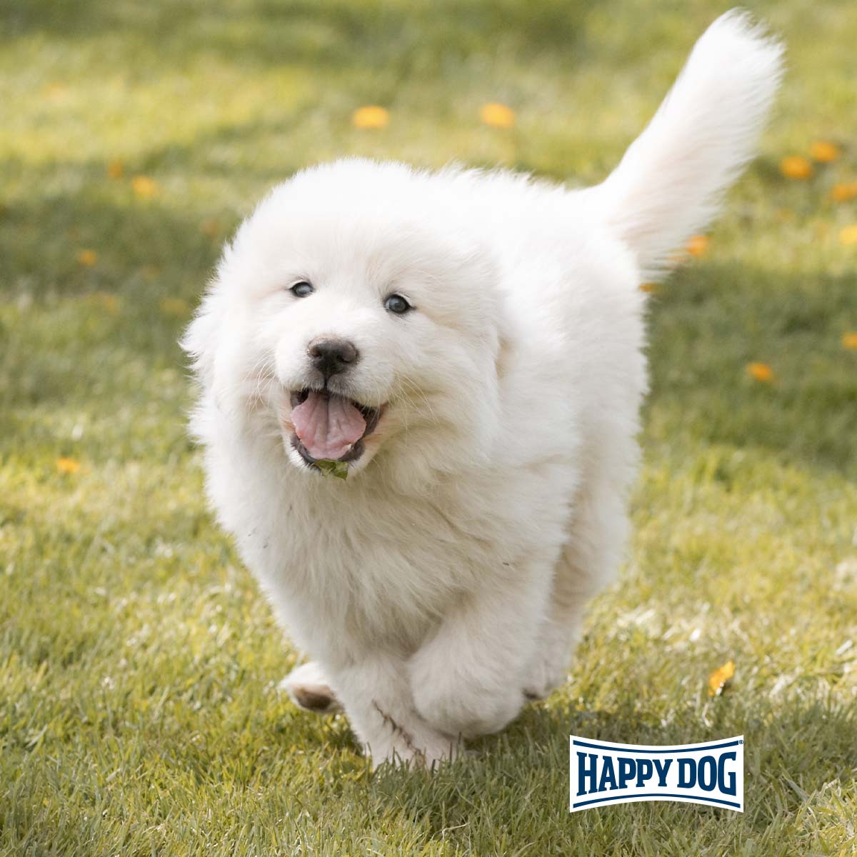 Happy Dog Supreme Baby Giant Lamb & Rice 15kg kaufen bei ZooRoyal