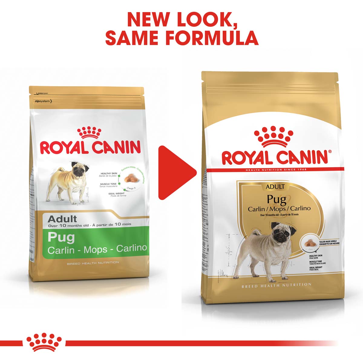 ROYAL CANIN Pug Adult Hundefutter trocken für Mops bei ZooRoyal