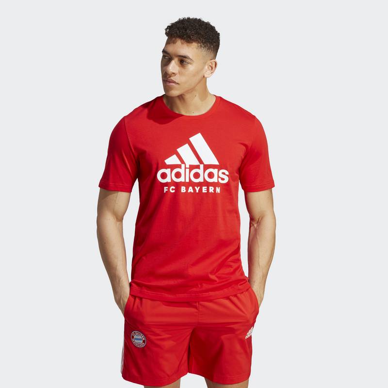 adidas FC Bayern München DNA Graphic T-Shirt T-Shirt Herren