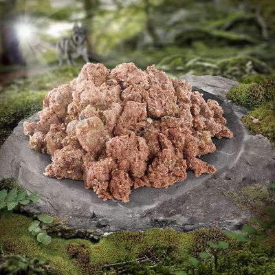 Wolf of Wilderness Adult 6 x 300 g Schale - Single Protein