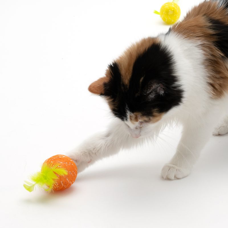 TIAKI Katzenspielzeug-Set Birne & Orange zu TOP-Preisen | bitiba