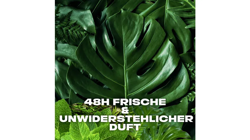 AXE Bodyspray Wild Green Mojito & Cedarwood ohne Aluminiumsalze 150ml 150 ml