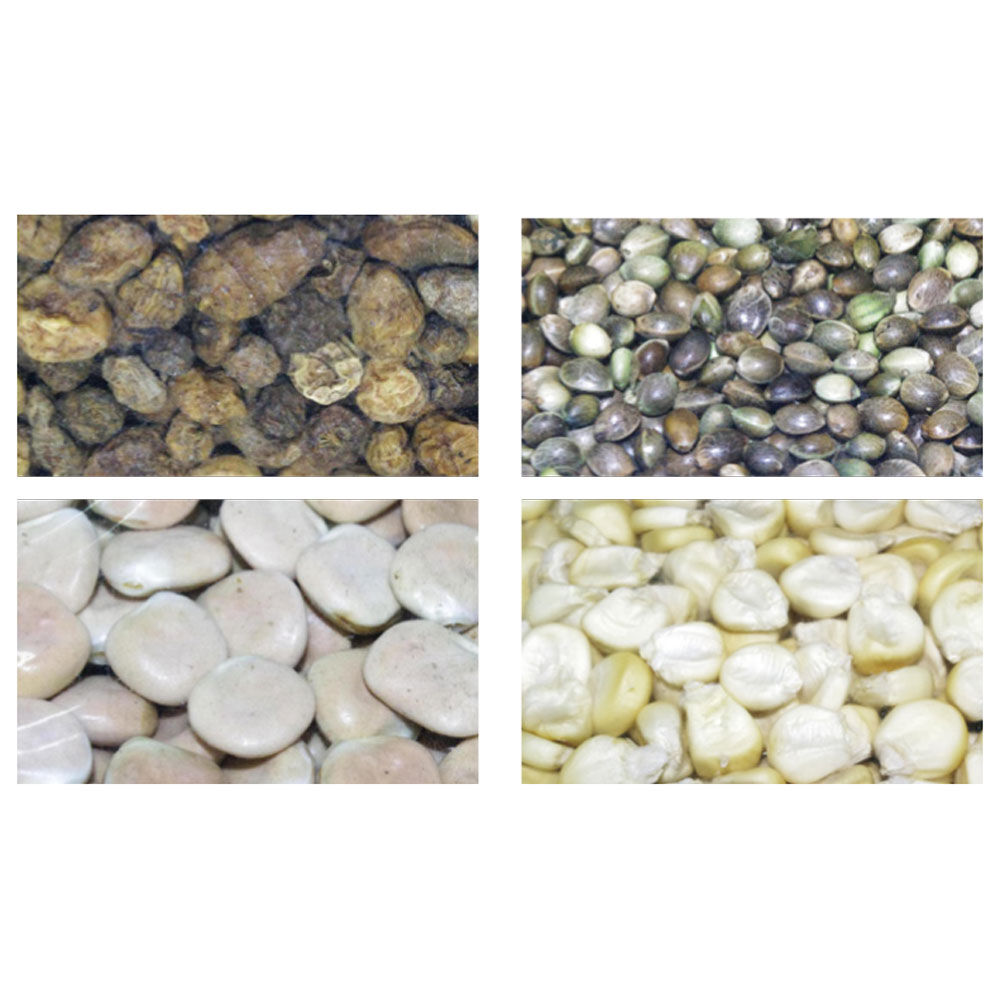 Graines sucht Carpe Active Baits Melange de Graines