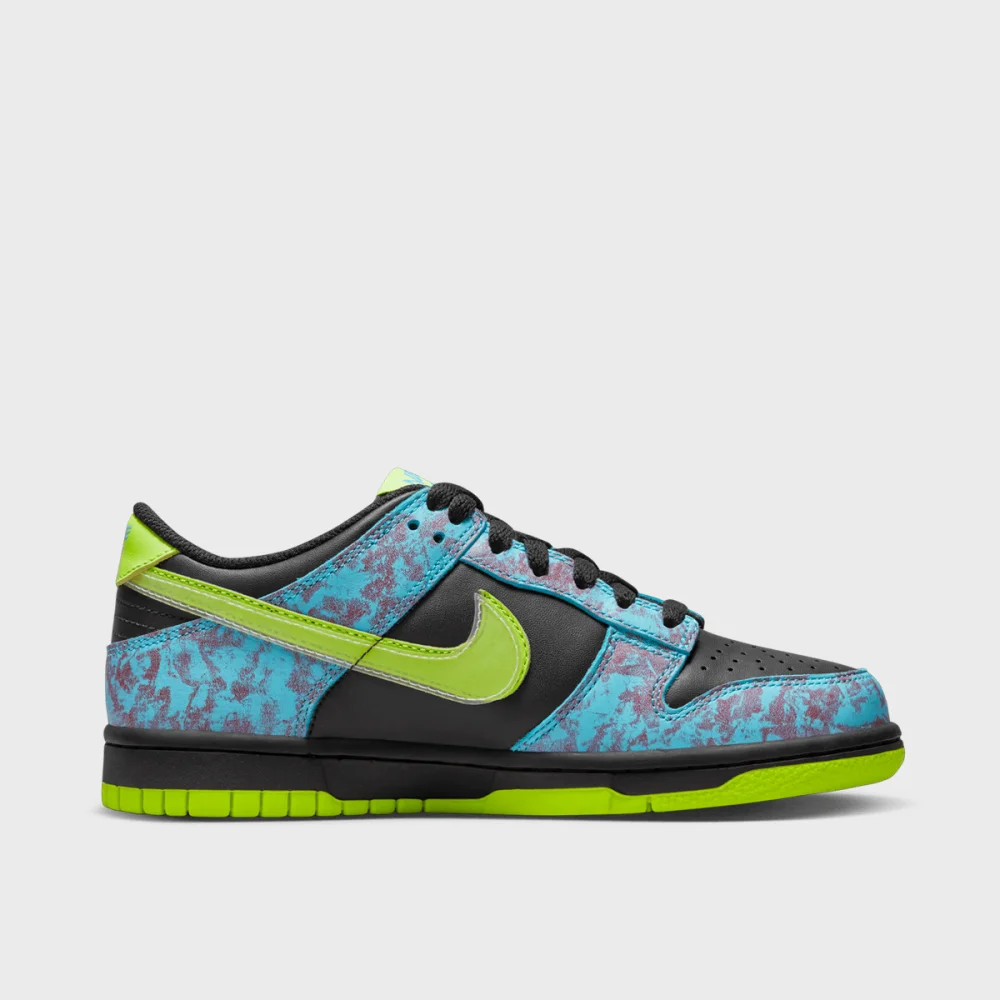 Nike Dunk Low SE DV1694-900 / bunt