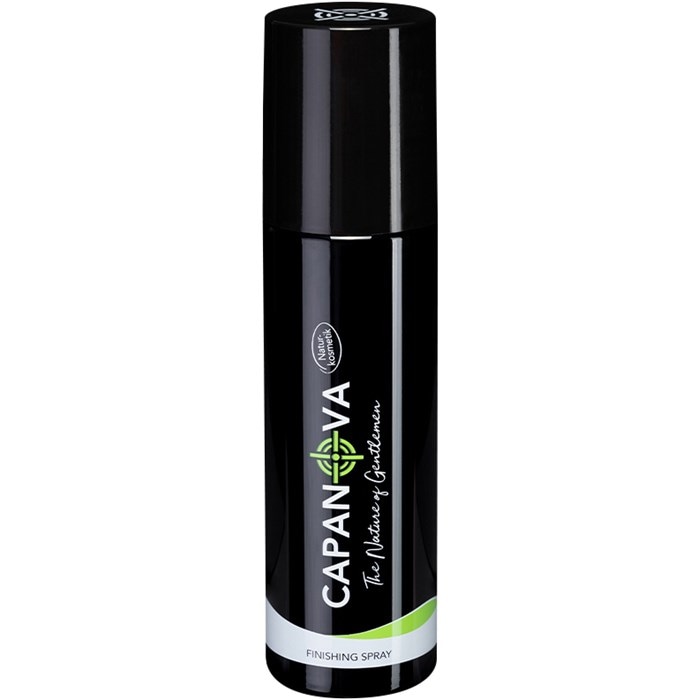 Finishing Spray