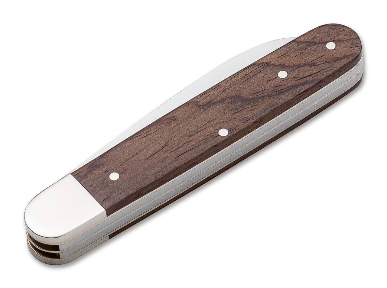 Enigma Cocobolo