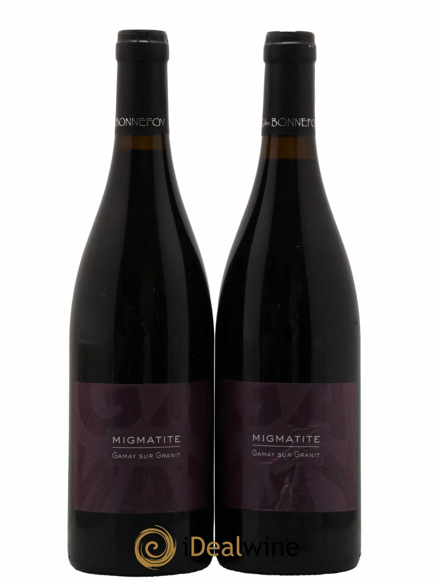 Divers Côtes du Forez Migmatite Les Vins de la Madone Gilles Bonnefoy 2020 - Lot de 2 Bouteilles