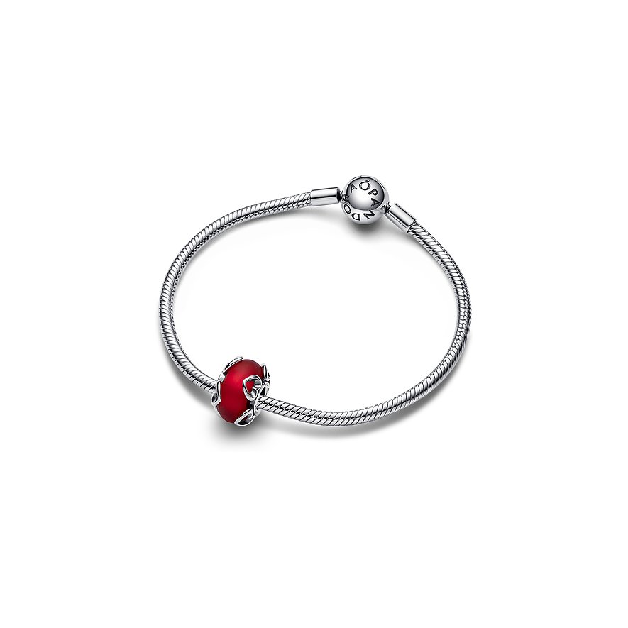 Pandora Charm Moments