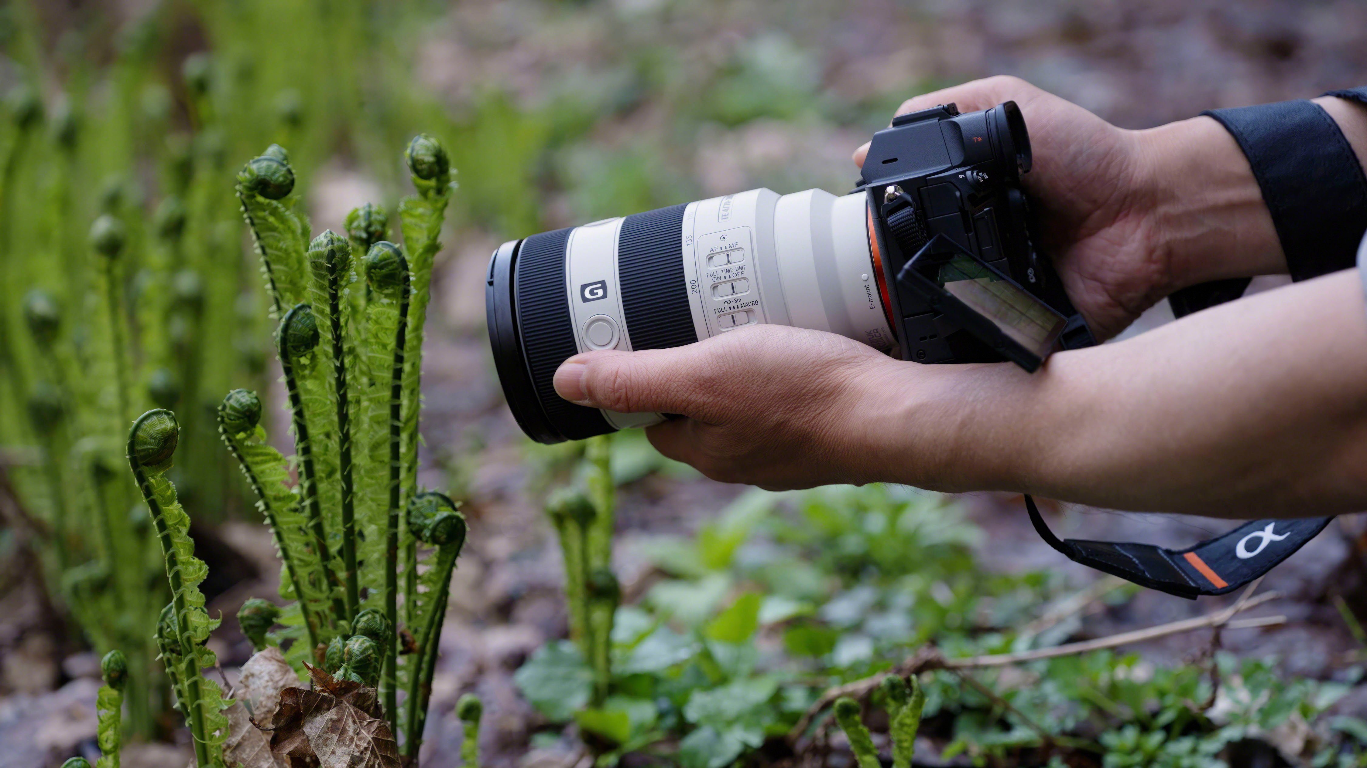 Sony FE 70–200 mm F4 Makro G OSS Ⅱ Objektiv