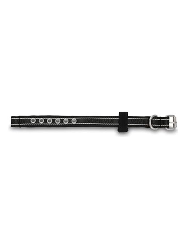 VOV & VUF Hundehalsband in Schwarz günstig kaufen onesize