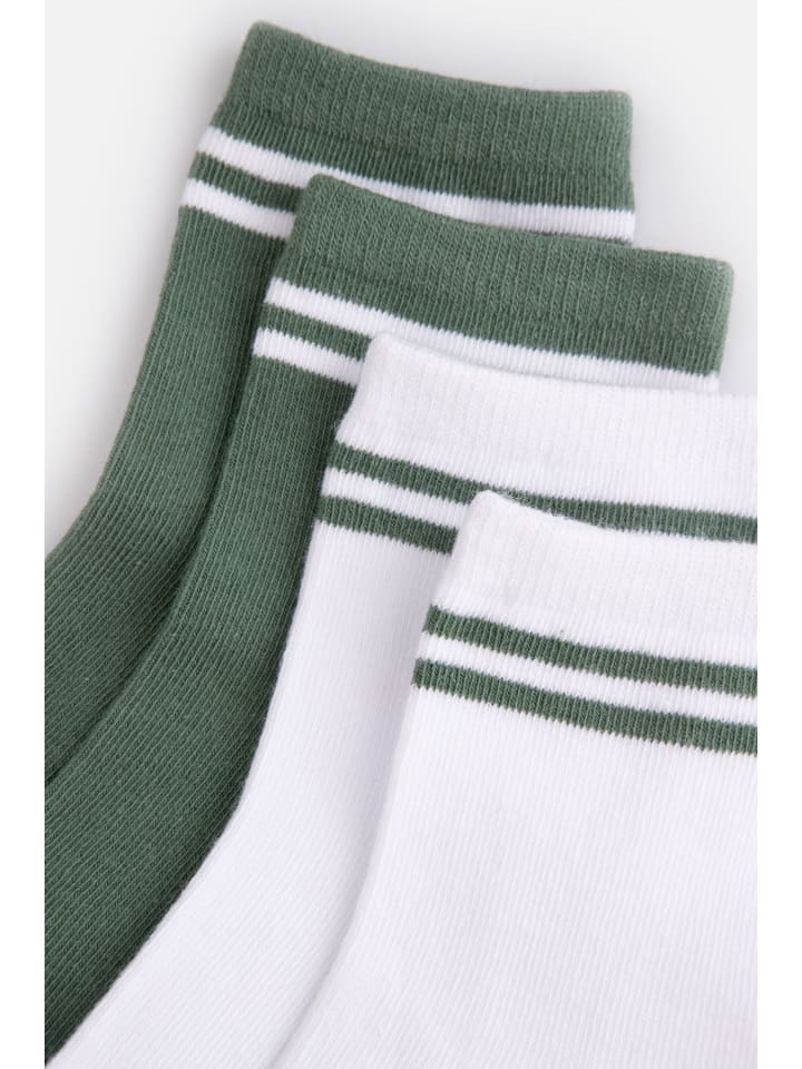 Coccodrillo Socken in bunt günstig kaufen