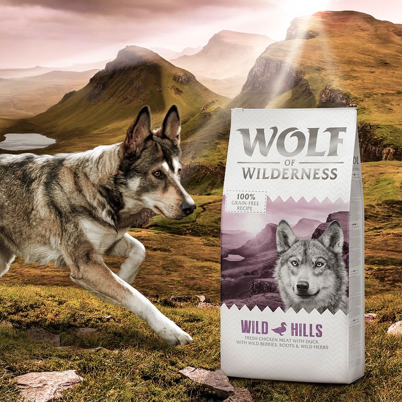 Wolf of Wilderness Mini 'Wild Hills' - Ente