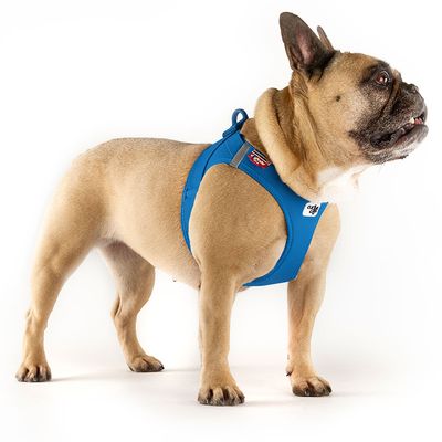 Curli Vest Geschirr Clasp Air-Mesh, blau