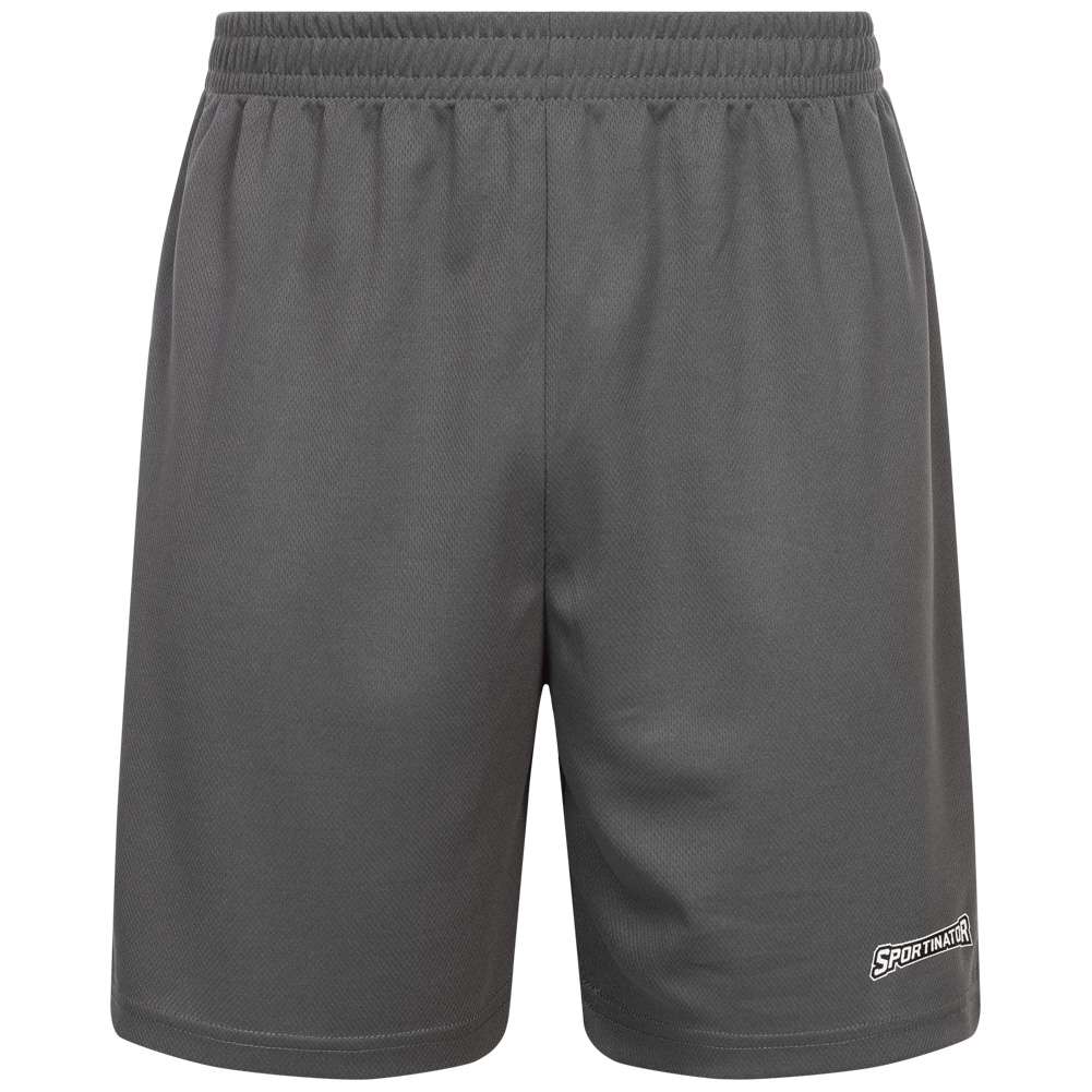 SPORTINATOR Essentials Herren Training Shorts grau