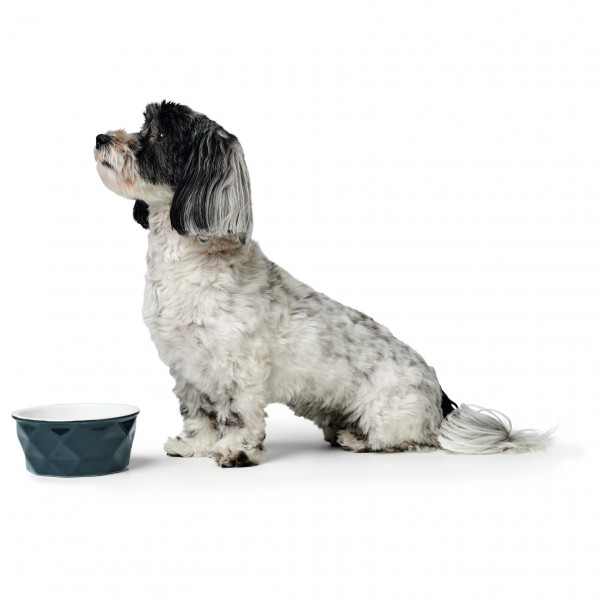 Hunter - Napf Eiby - Hundezubehör