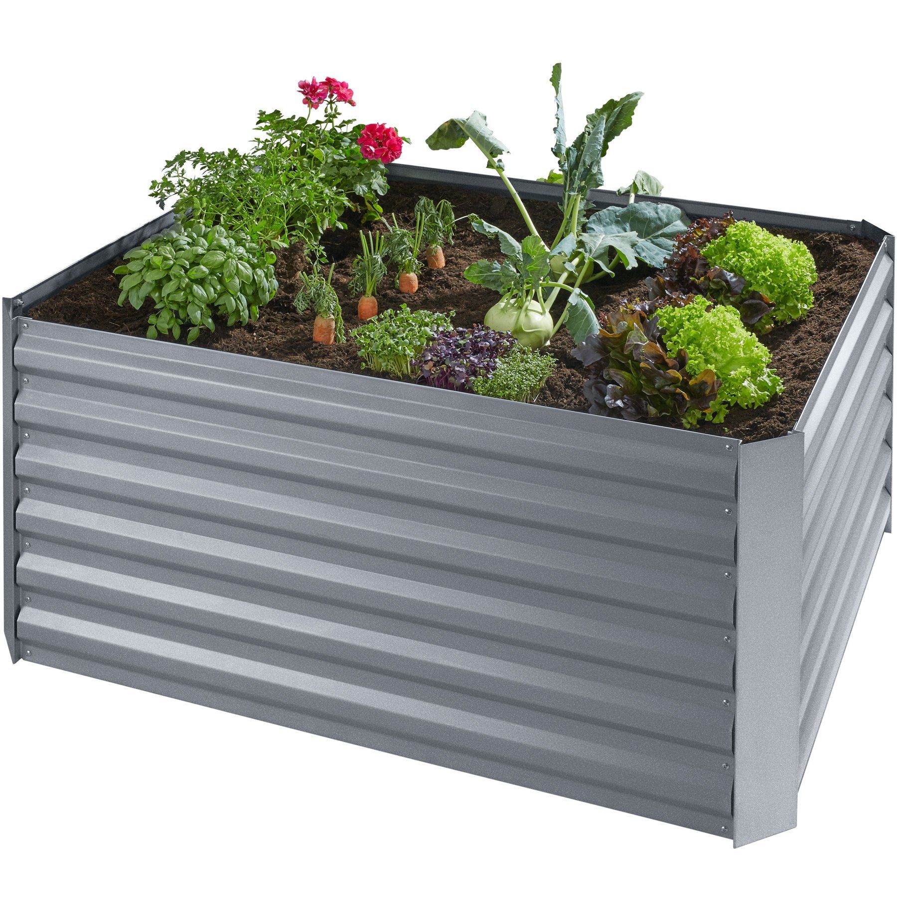 tectake Hochbeet Salvia