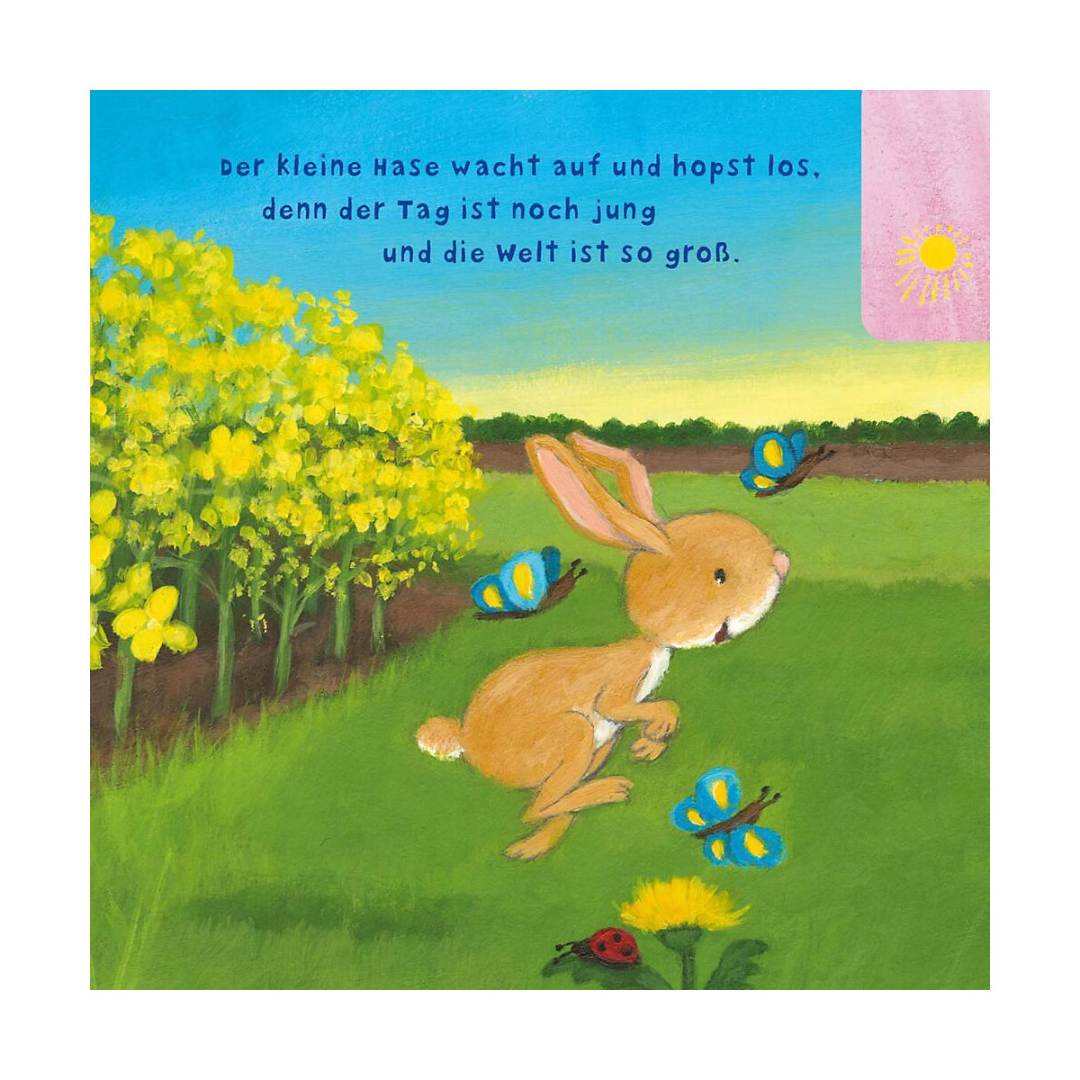 Baby Pixi (unkaputtbar) 97: Der kleine Hase