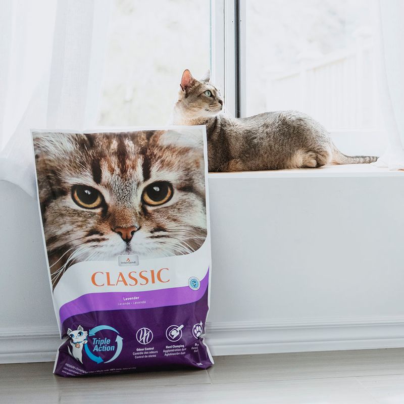 Intersand Classic Katzenstreu mit Lavendelduft