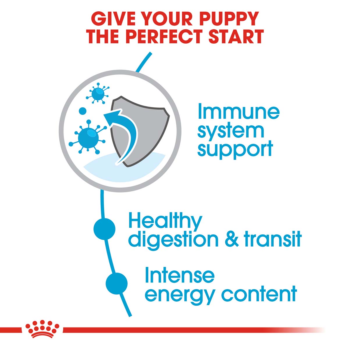 ROYAL CANIN X-Small Puppy 1,5kg + Mini Puppy in Soße 12x85g
