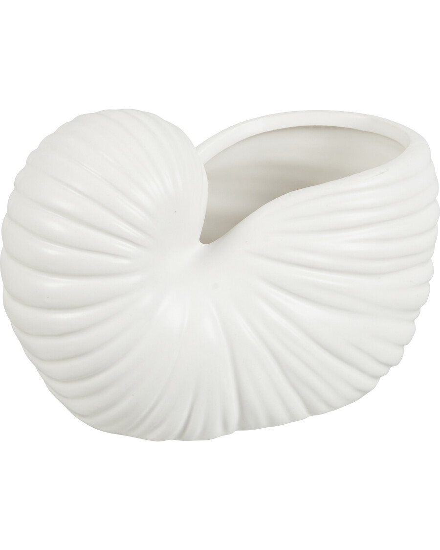 Blumentopf Muschel