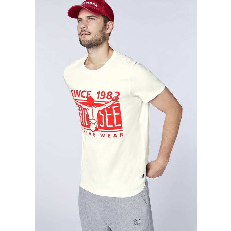 Chiemsee T-Shirt T-Shirt Herren