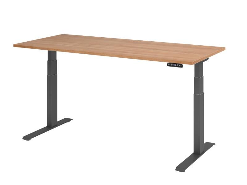 Hammerbacher Steh-Sitz-Schreibtisch VXDKB19/N/G Walnuss 1800 mm x 800 mm