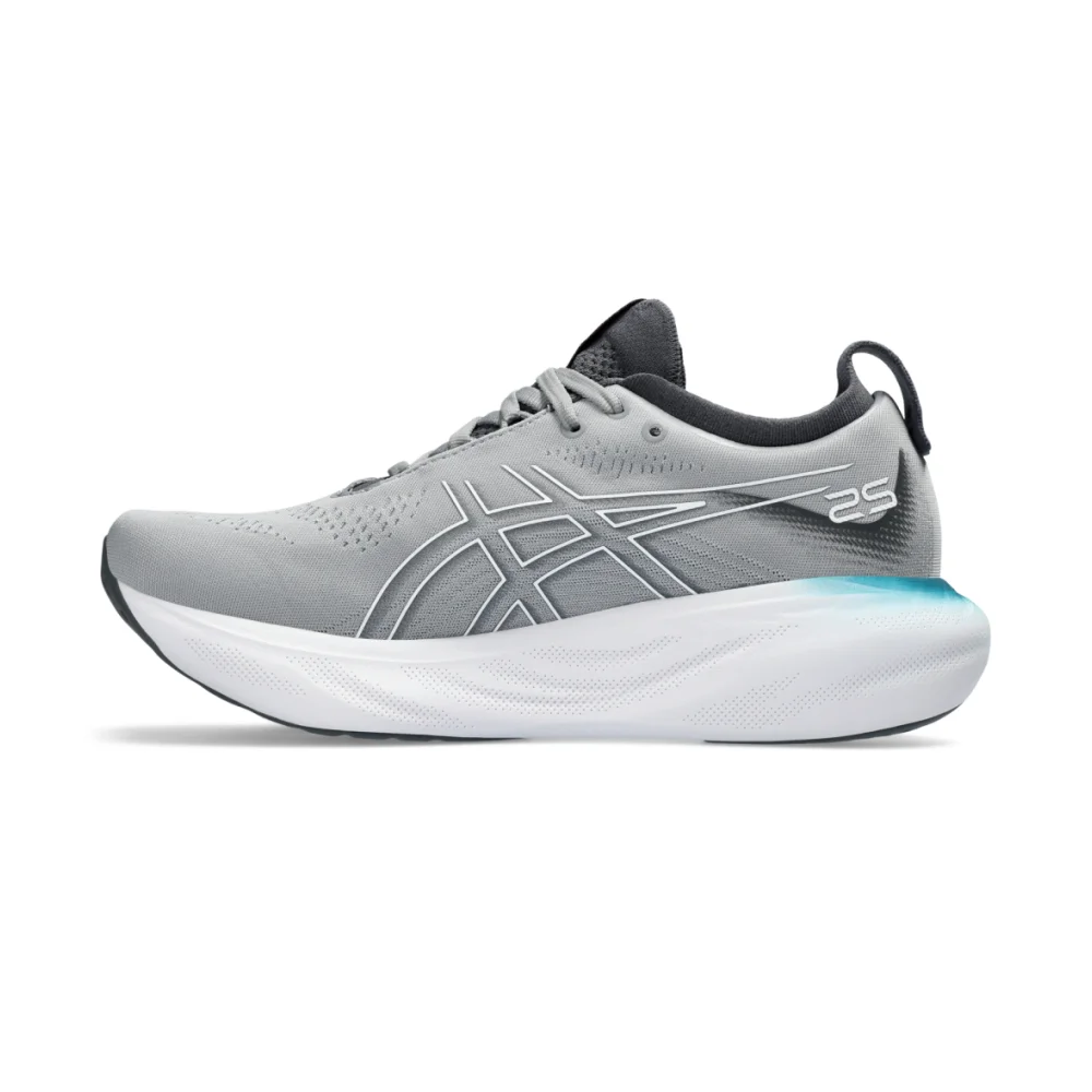 Asics Gel Nimbus 25 1012B356-023 / grau