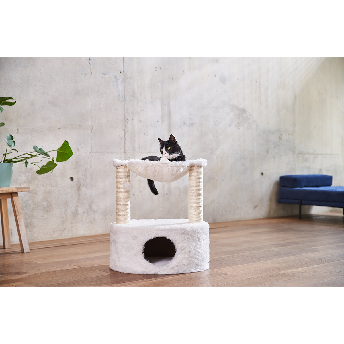 ZooRoyal Kratzbaum Nora 60 cm günstig kaufen