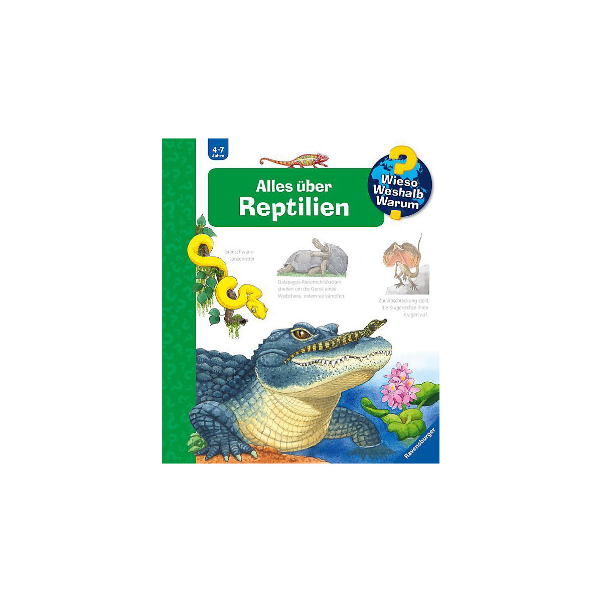 WWW Alles über Reptilien