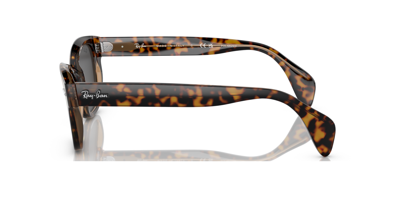 RB0880S RELOADED - Havana lucioasă pe negru maro transparent