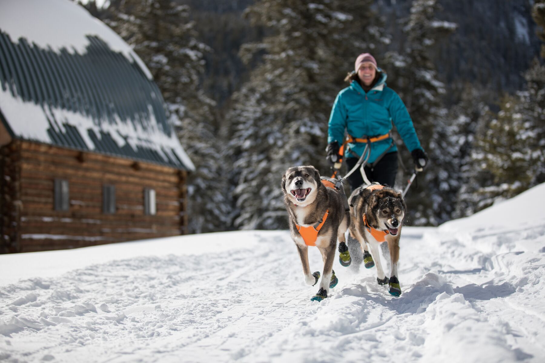 Ruffwear Hundegeschirre Ruffwear Omnijore™ Joring System L-XL