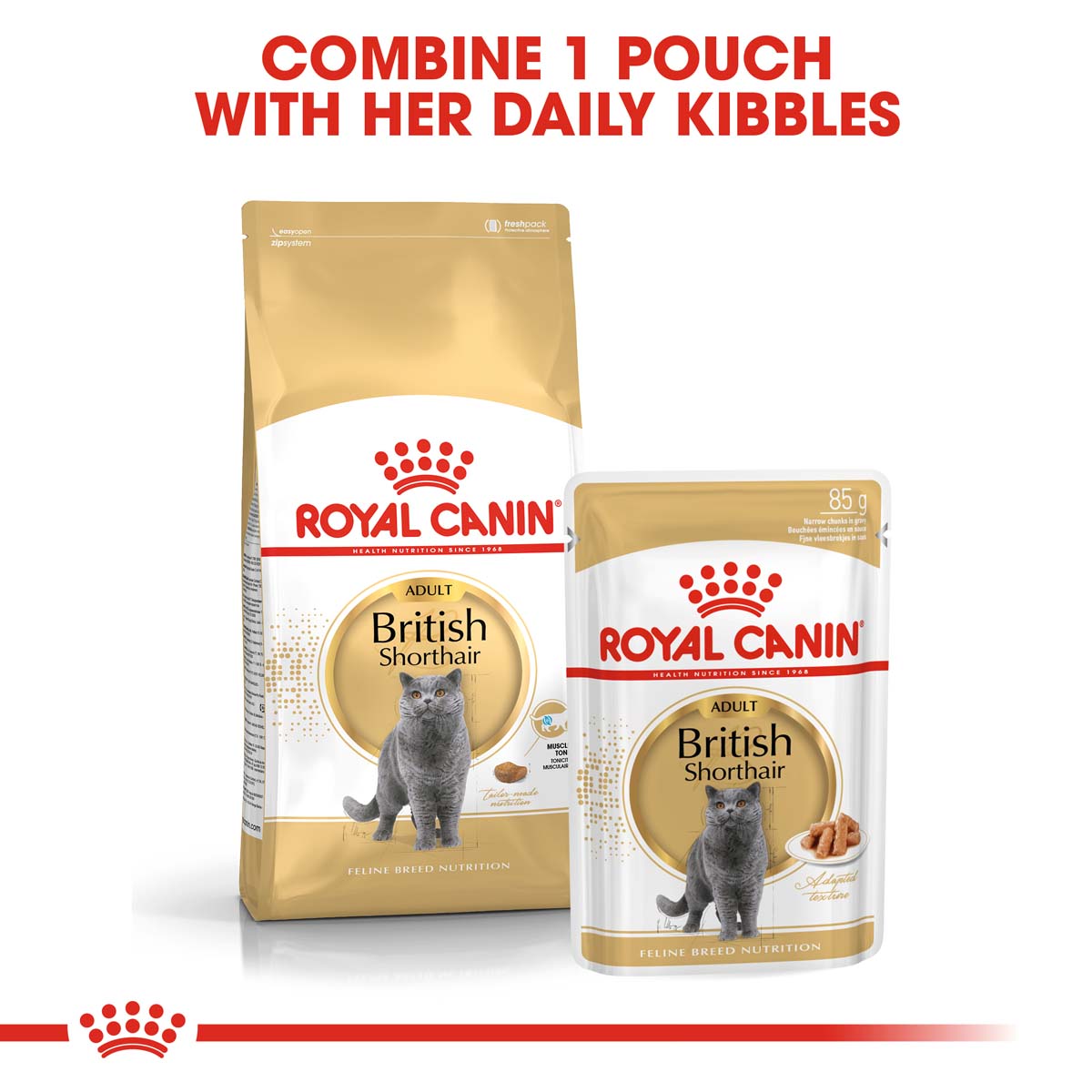 Royal Canin British Shorthair Katzenfutter kaufen