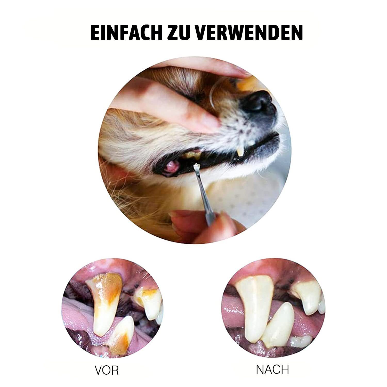 COOL-i ® Tier-Zahnpflegeset, Zahnpflege für Tiere,Edelstahl Zahnpflege Set 3 Stück