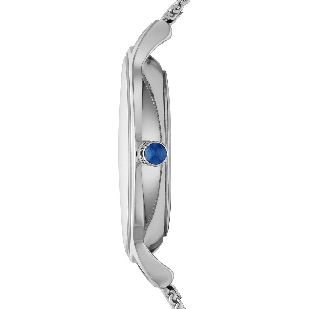 Skagen Montre pour femme Acier inoxydable Montre