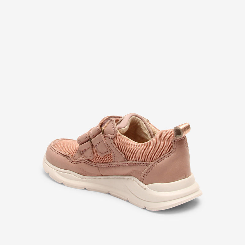 pan v rose - Rose
