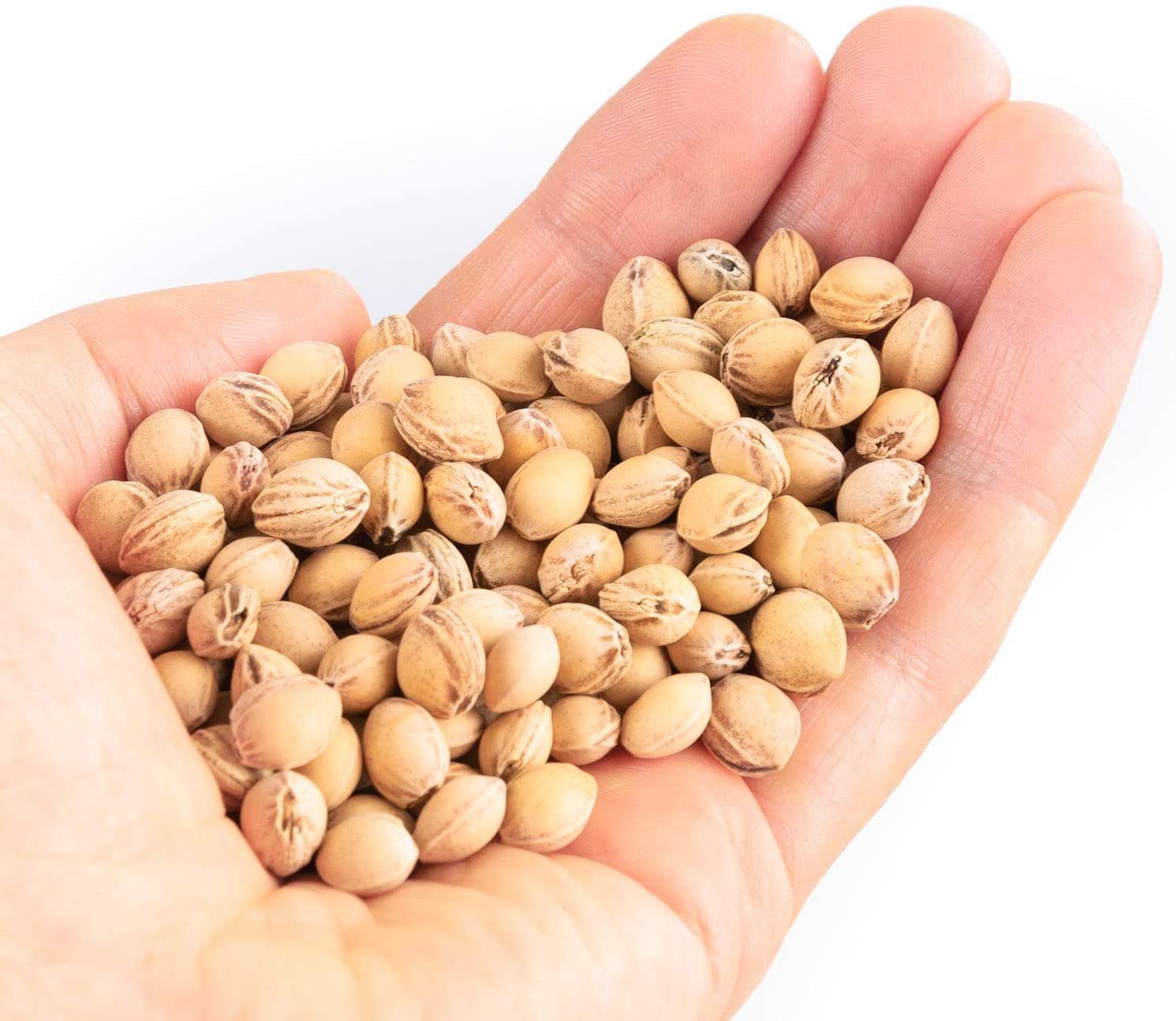 Amilian Kirschkernkissen Nackenhörnchen (Made in EU) mit Rückenteil und Stehkragen, Nackenwärmer, Nackenkissen, Wärmekissen, Wärmekompresse, Massagekissen, Kältekissen