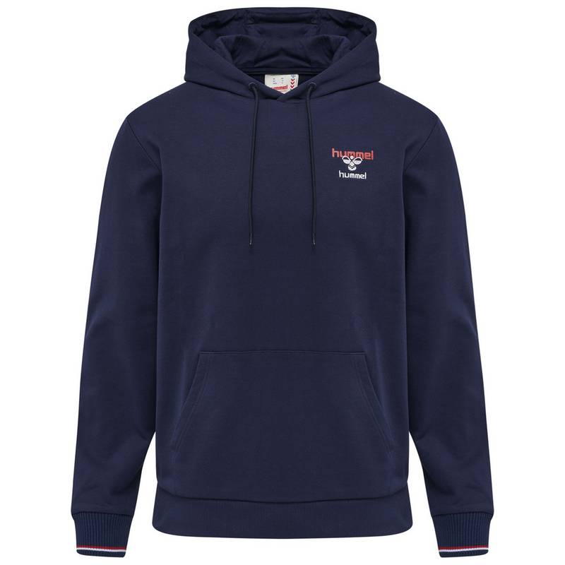 hummel hmlIC DAYTON HOODIE Hoodie