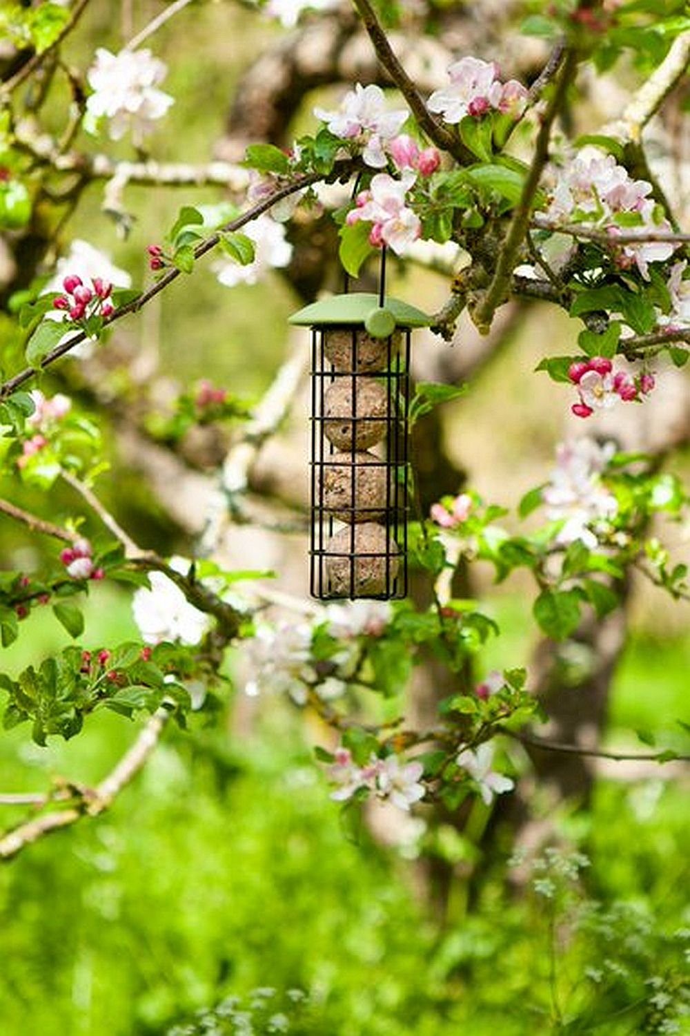 Smart Garden Futterspender Meisenknödelhalter Meisenknödelspender