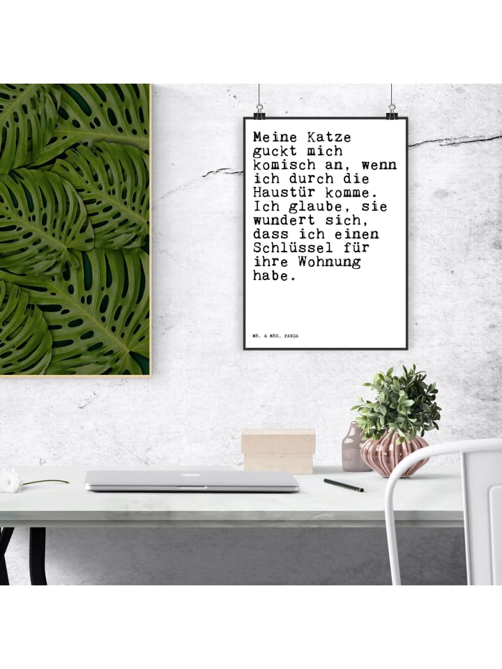 Mr. & Mrs. Panda Poster Meine Katze guckt mich... mit Spruch in Weiß günstig kaufen