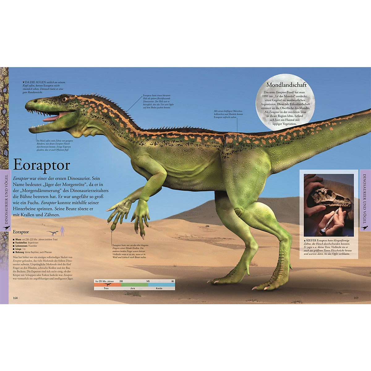 Dinosaurier und andere Tiere der Urzeit für clevere Kids