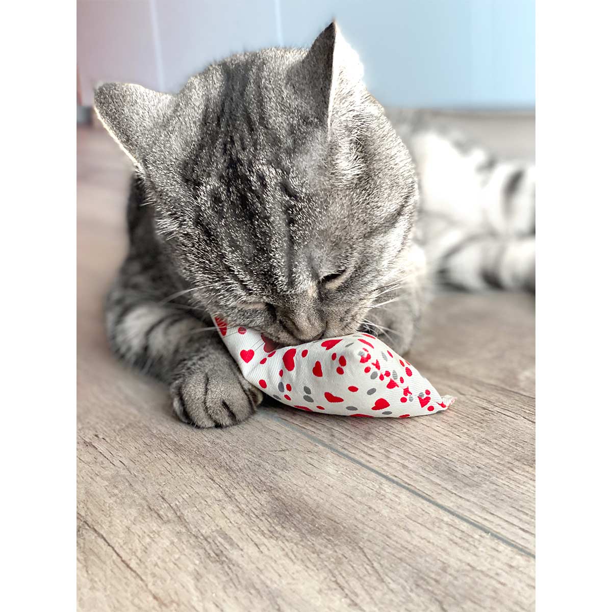 Aumüller Katzenspielkissen Minzini günstig kaufen