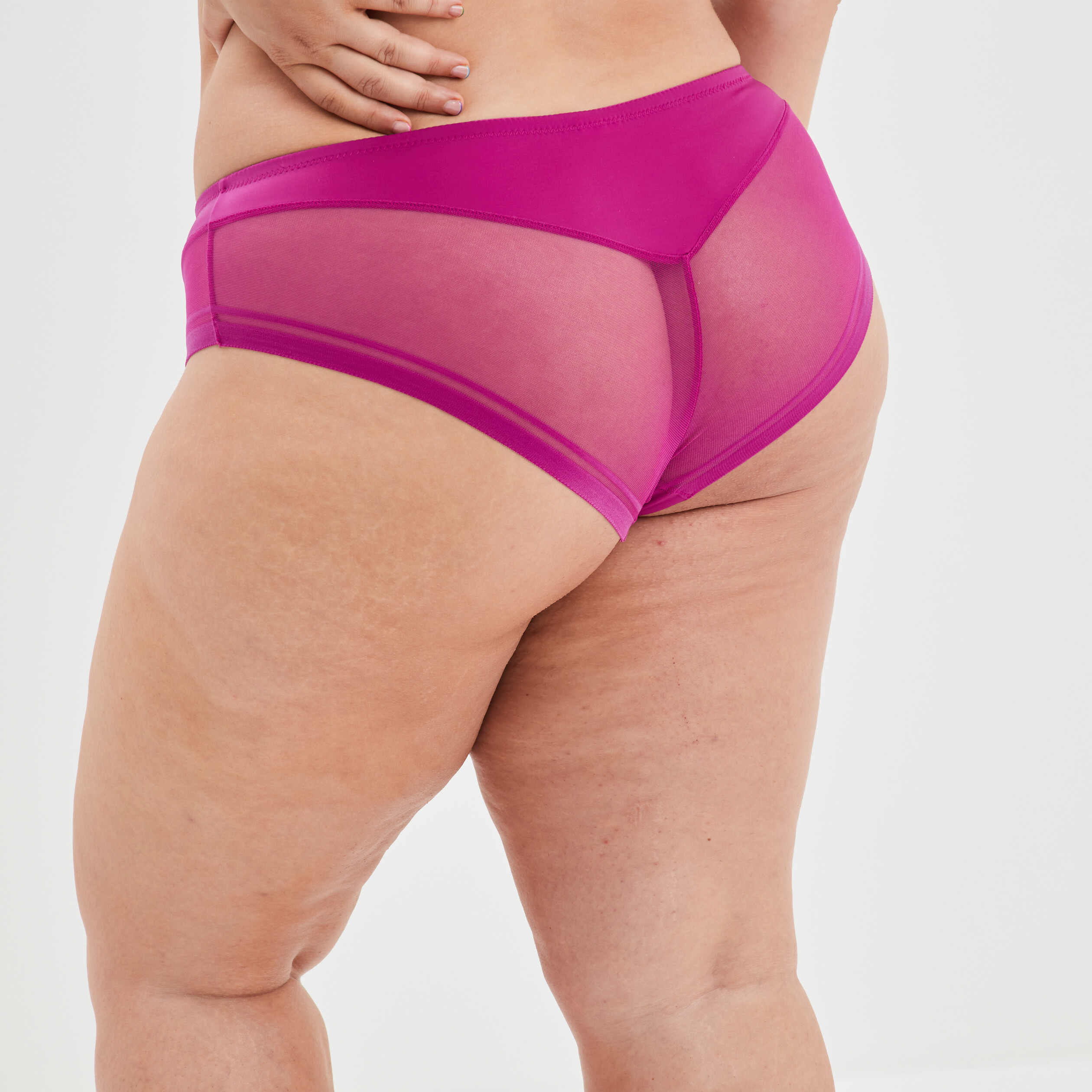 Culotte avec microfibre Izold violet femme grande taille | La Halle