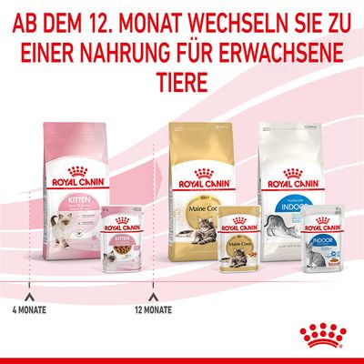 Royal Canin Kitten in Soße