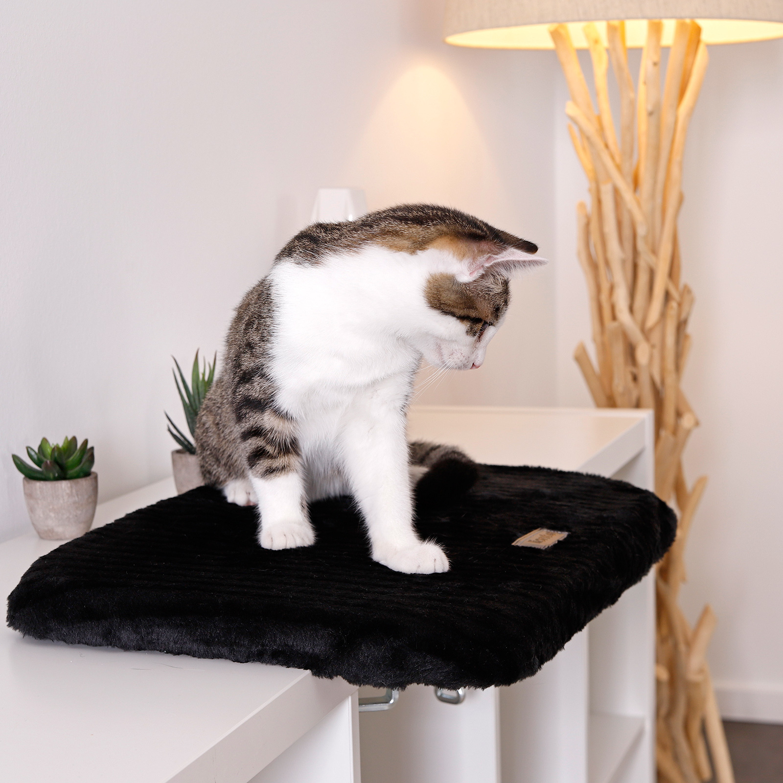 Lionto Katzenhängematten & Fensterliegeplätze Lionto Katzenliege für Fensterbank schwarz